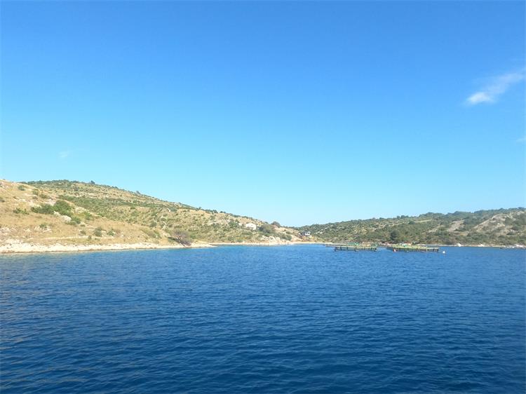 Slika /slike/more_Katarina Drazic.jpg